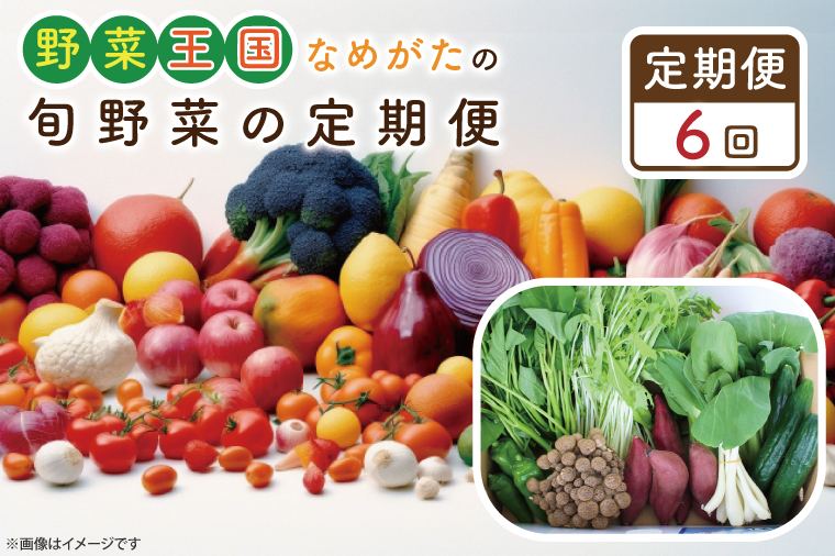 【茨城県行方市】CU-133 【6ヶ月定期便】野菜王国なめがたの旬野菜の定期便(さつまいも入り)
