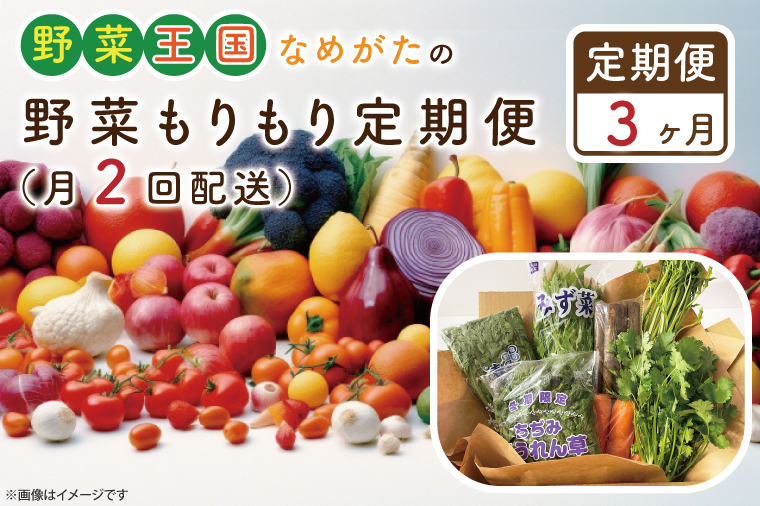 【茨城県行方市】CU-140 【3ヶ月定期便】野菜王国なめがたの野菜もりもり定期便(月2回発送)