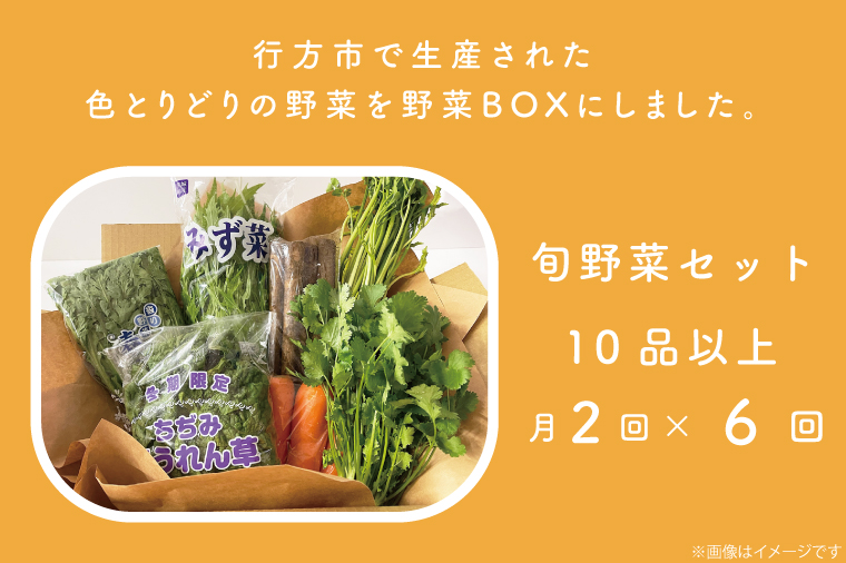 茨城県行方市のふるさと納税 CU-141　【6ヶ月定期便】野菜王国なめがたの野菜もりもり定期便（月２回発送）