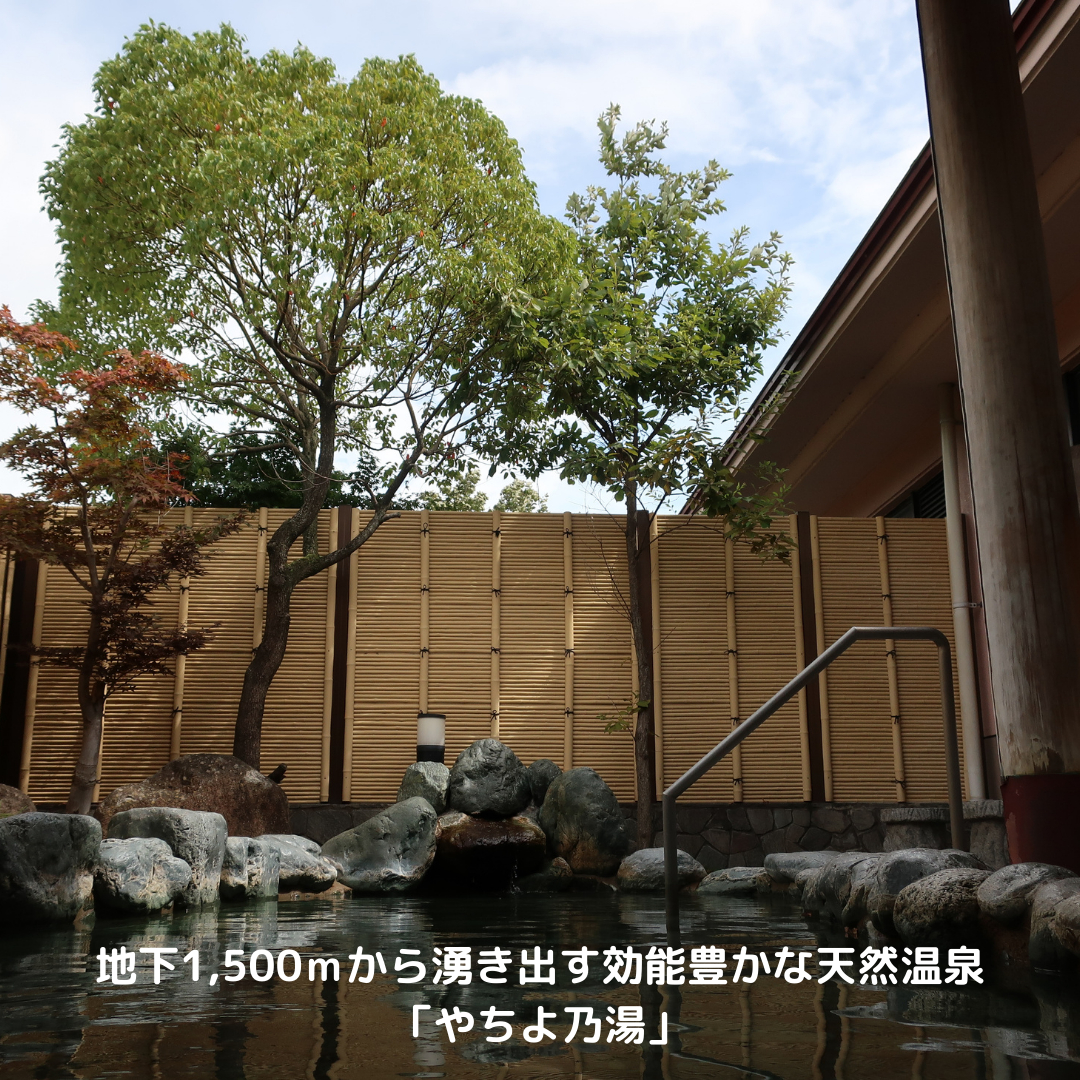 ふるさと納税 【 八千代グリーンビレッジ 憩遊館 やちよ乃湯