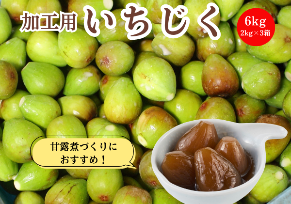 期間限定 加工用 生いちじく 6kg（2kg×3) 秋田県にかほ市産 北限のいちじく ホワイトゼノア