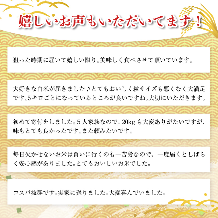 【 新米 先行予約 / 12月中旬出荷分】《 令和5年産 》茨城県産 コシヒカリ 精米 20kg ( 5kg ×4袋 ）【 各月 数量限定 】  こしひかり 米 コメ こめ 茨城県産 国産 美味しい お米 おこめ おコメ [CL14-NT06] / 茨城県つくばみらい市 | セゾンのふるさと納税