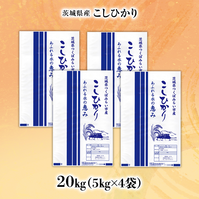 【 新米 先行予約 / 12月中旬出荷分】《 令和5年産 》茨城県産 コシヒカリ 精米 20kg ( 5kg ×4袋 ）【 各月 数量限定 】  こしひかり 米 コメ こめ 茨城県産 国産 美味しい お米 おこめ おコメ [CL14-NT06] / 茨城県つくばみらい市 | セゾンのふるさと納税