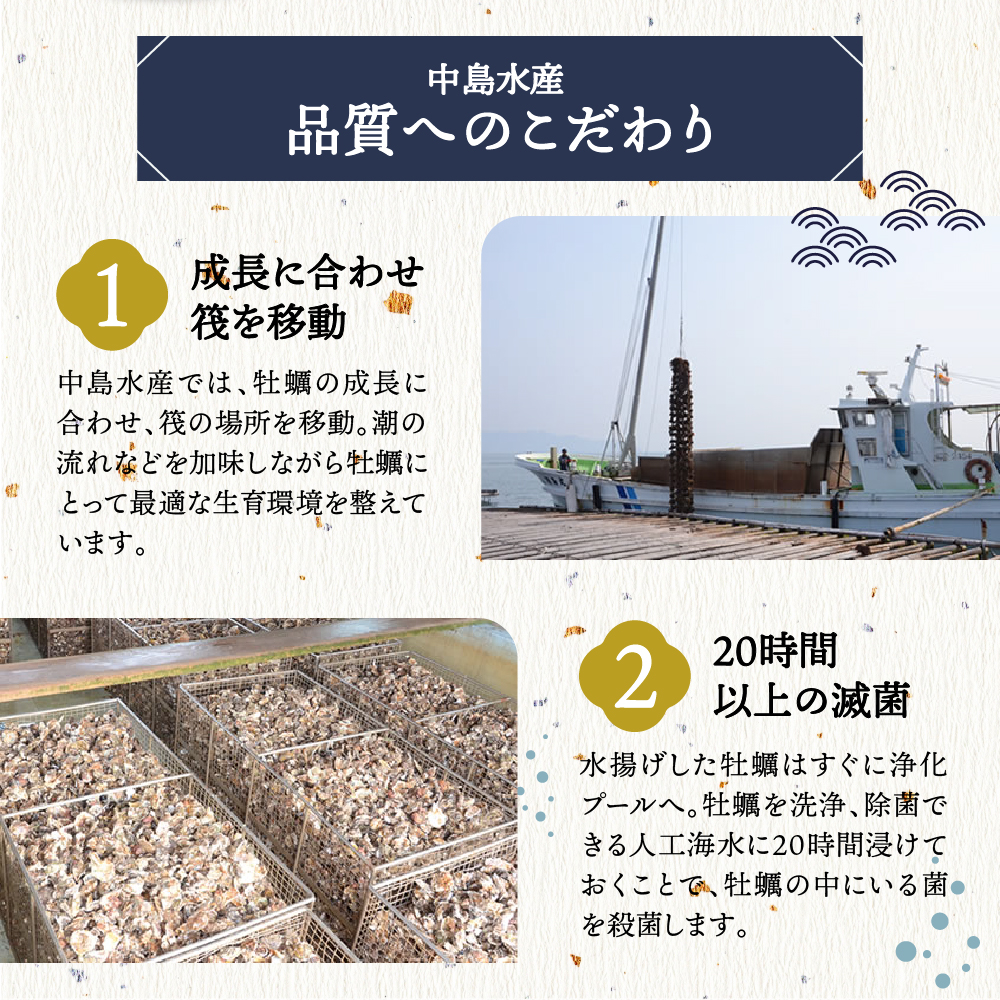 中島水産株式会社 加熱用 生牡蠣（むき身）750g / 広島県呉市 | セゾン