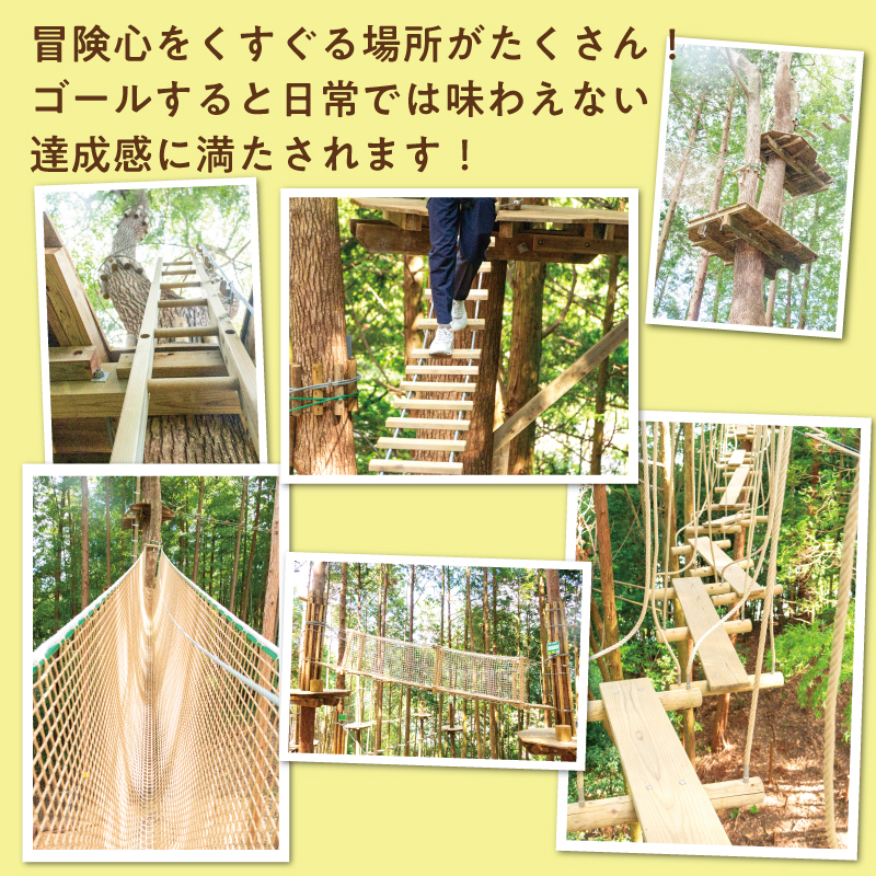 全力で森遊び！アドベンチャーコース 1名様体験チケット [a0409] 株式