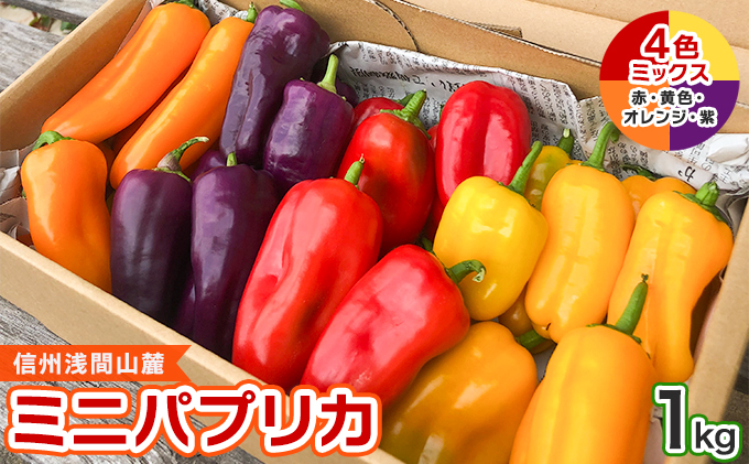 信州浅間山麓　ミニパプリカ1ｋｇ　4色ミックス（赤・黄色・オレンジ・紫）