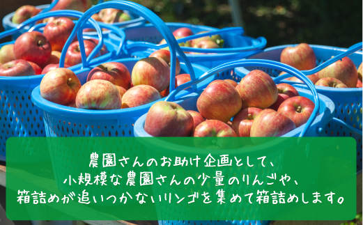 長野県飯綱町のふるさと納税 りんご サンふじ 2kg 訳あり  家庭用 【 訳アリ 果物 フルーツ 不揃い 長野県産 長野 お試し 8000円 8000 】 農家応援企画 令和6年収穫分 沖縄県への配送不可 2024年 11月下旬順次発送予定 長野県 飯綱町 [1744]