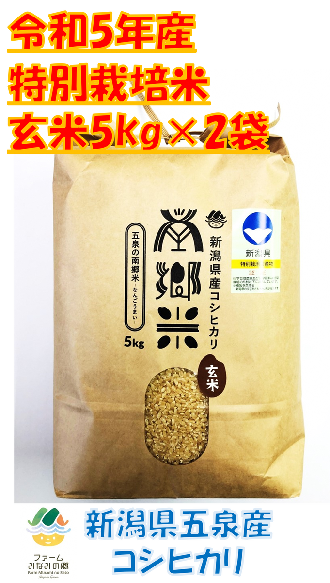 令和5年産 新潟県産コシヒカリ 玄米10kg - 米・雑穀・粉類