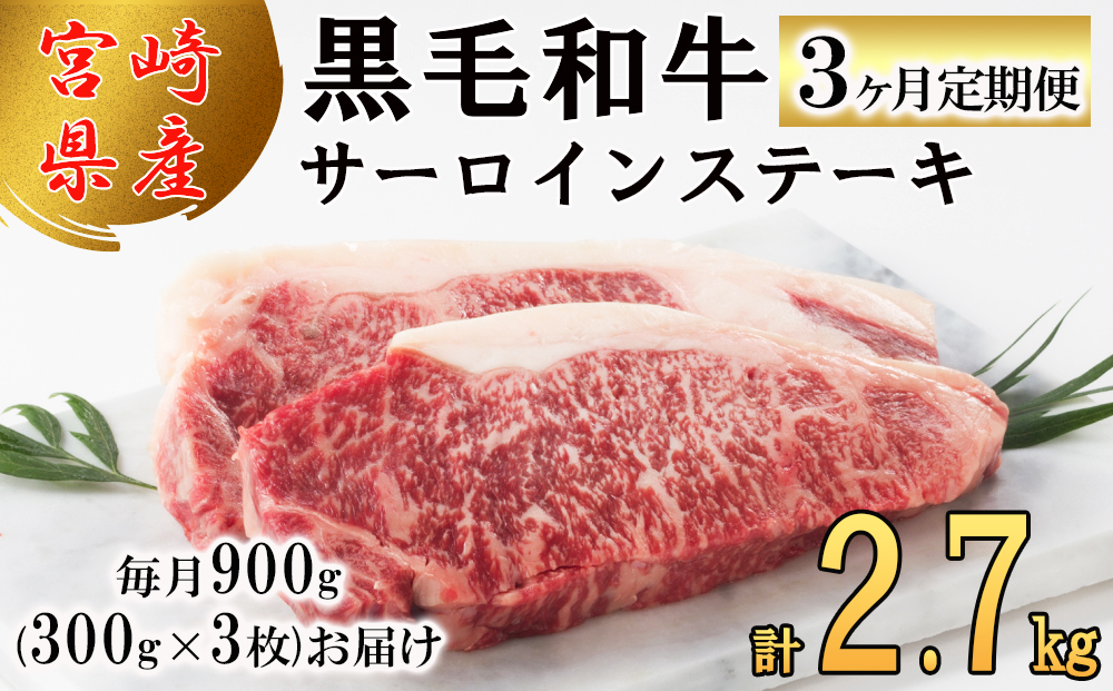 y{茧z3  {茧Y јa T[C Xe[L 300g ×3×3 v2.7kg [TAOt[Y {茧  31ba0032]  Ⓚ  Y   ~ BBQ o[xL[ Lv ^ Xy[X [ TV  