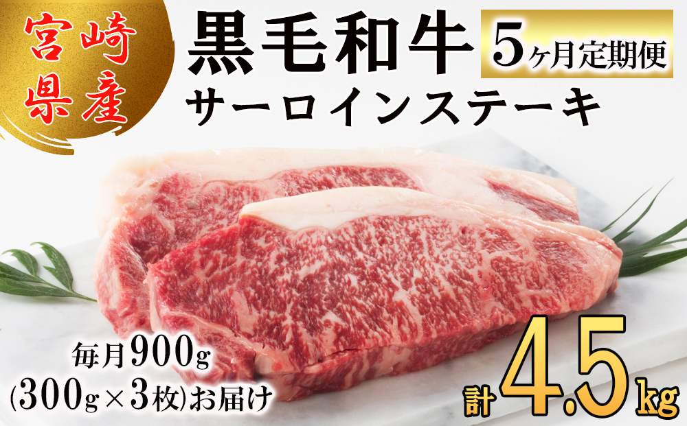 y{茧z5  {茧Y јa T[C Xe[L 300g ×3×5 v4.5kg [TAOt[Y {茧  31ba0034]  Ⓚ  Y   ~ BBQ o[xL[ Lv ^ Xy[X [ TV  