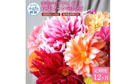 t183tmf [12ヵ月定期便]ダリア 花束 初回花瓶付 定期便 定期コース 全12回 延命剤付き ラッピング 花びん 生花 花束 ブーケ 花 お花 可愛い キレイ おしゃれ 供花 お供え ギフト プレゼント