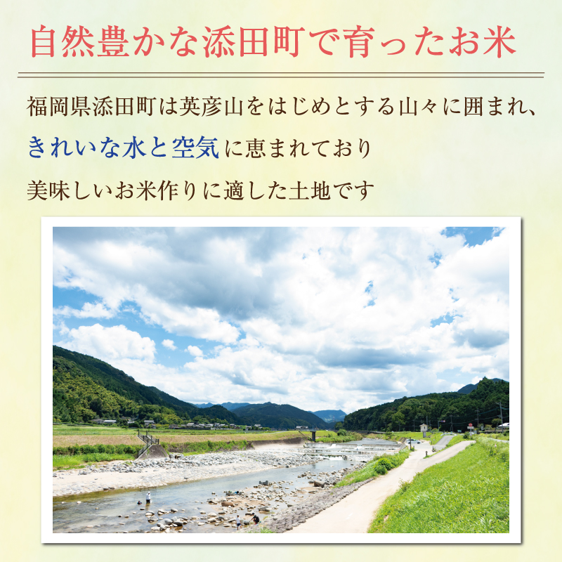 福岡県添田町のふるさと納税 夢つくし玄米PREMIUMパックごはん 160g×24食 [a7414] 酒見食品工業株式会社 ※配送不可：離島【返礼品】添田町 ふるさと納税
