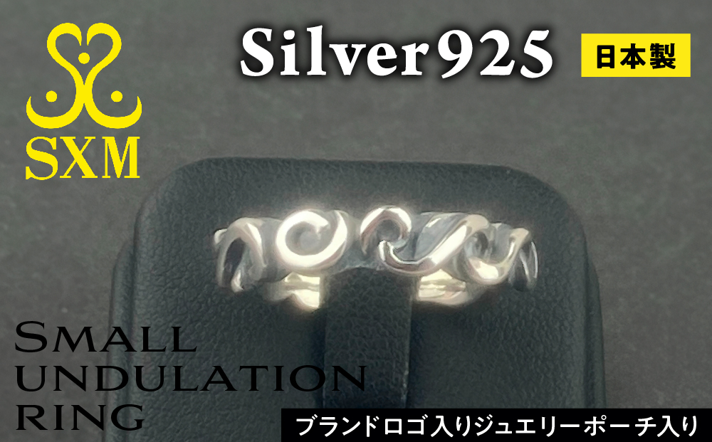 【茨城県常総市】Small  undulation  ring