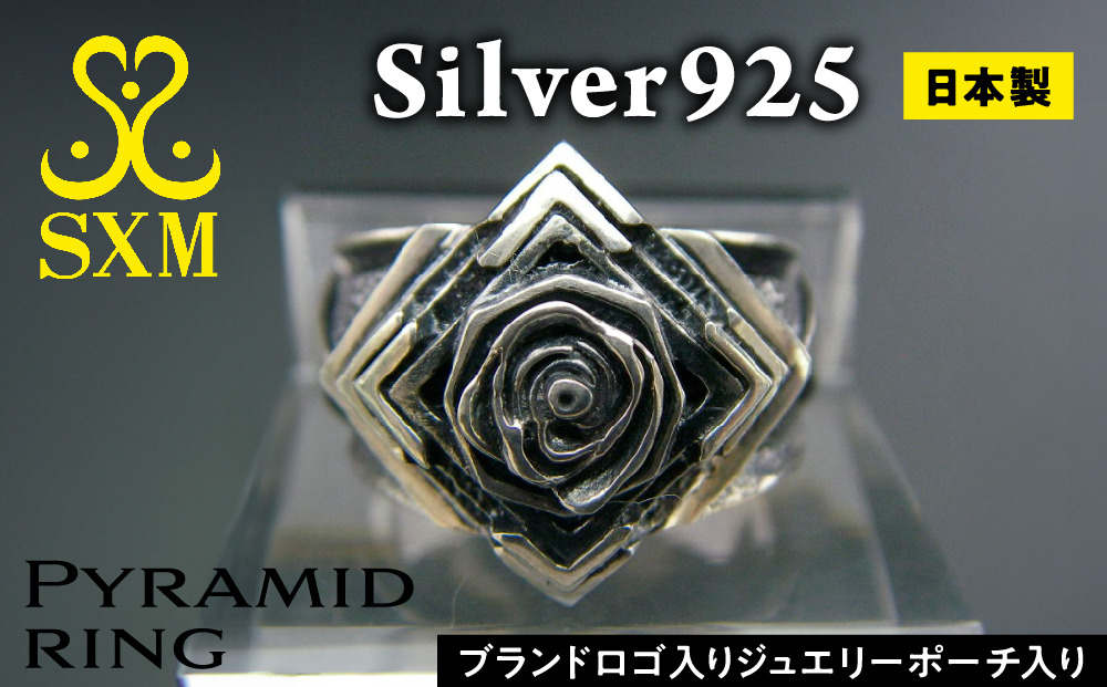 【茨城県常総市】Pyramid  ring