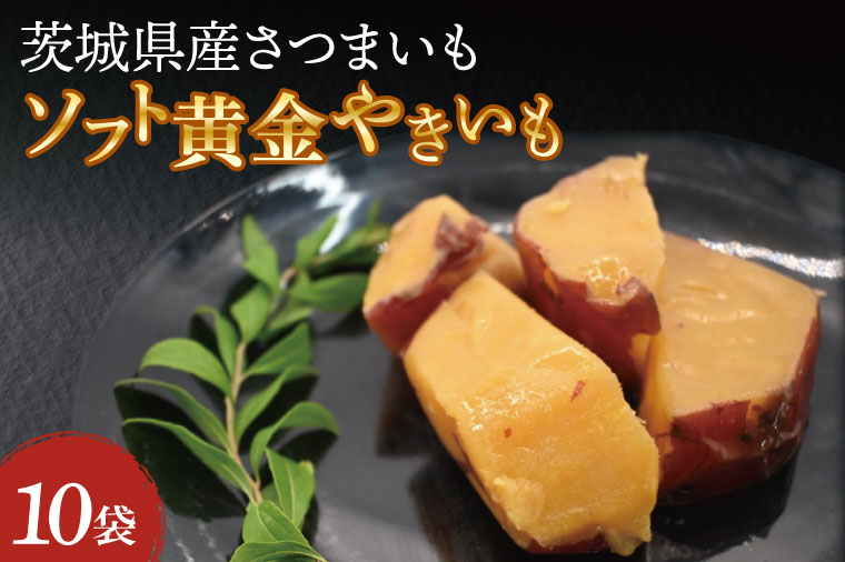 y錧z\tg ₫ 1200g (120g×10) 1.2kg ₫ ܂ F Tc}C VNXC[g Z ȒP Z 퉷ۑ hАH ~i 퉷 퉷ۑ
