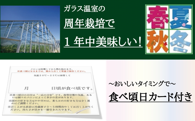 静岡県袋井市のふるさと納税 クラウンメロン（白上級）２玉入