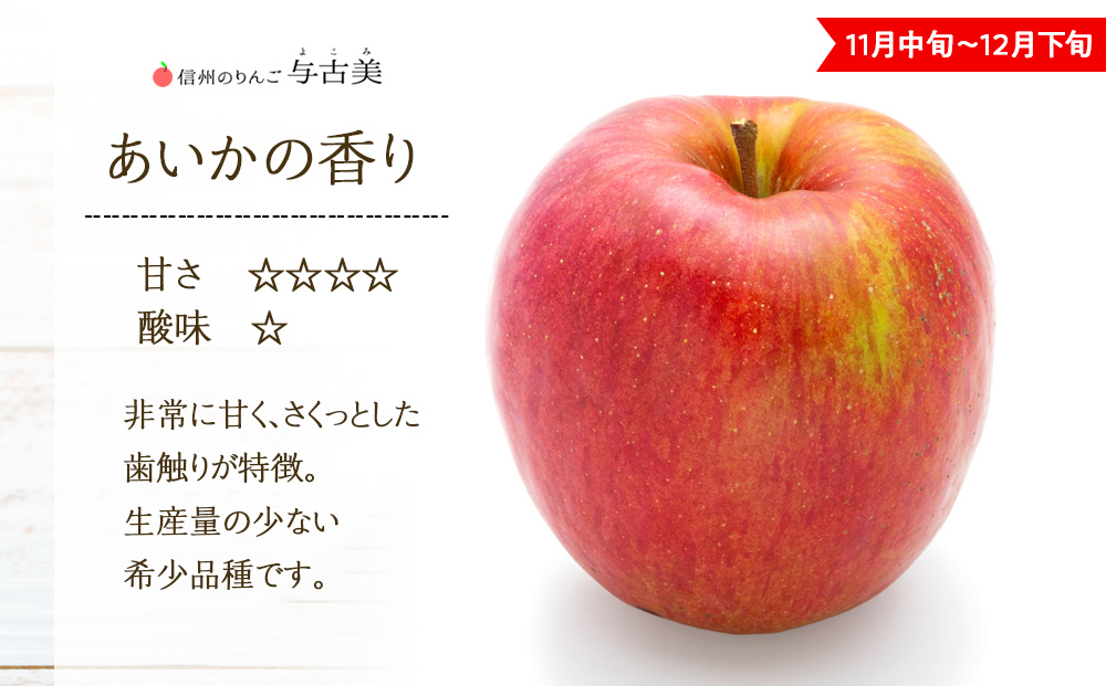長野県箕輪町のふるさと納税 先行予約 りんご あいかの香り 約3kg セット 2024年 令和6年度発送分 リンゴ 林檎 長野 フルーツ 果物 信州産 長野県産 特産 産地直送 おすすめ