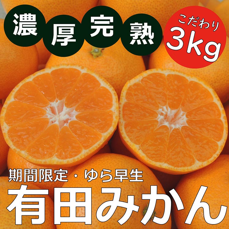 北真農園　有田みかん　ゆら早生 濃厚完熟 3kg お試しサイズ ORYY推奨 ※2024年11月上旬～12月下旬頃に順次発送予定