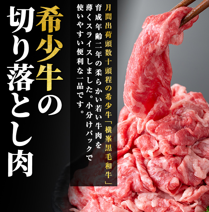 鹿児島県志布志市産横峯黒毛和牛の切り落とし肉(計1kg・125g×8P) c9