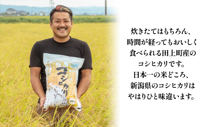 新潟県田上町のふるさと納税 新之助　5kg お米