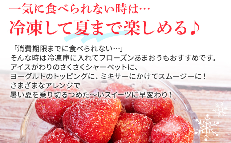 福岡県大木町のふるさと納税 ジャム用あまおう1kg ※2025年2月中旬～5月10日頃にかけて順次出荷予定 BD08