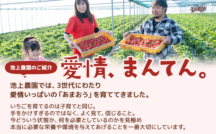 福岡県大木町のふるさと納税 ジャム用あまおう1kg ※2025年2月中旬～5月10日頃にかけて順次出荷予定 BD08