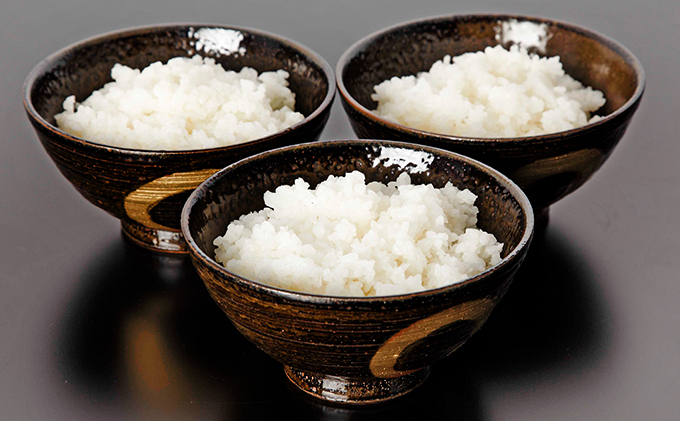 非常食　白いご飯  10食セット　