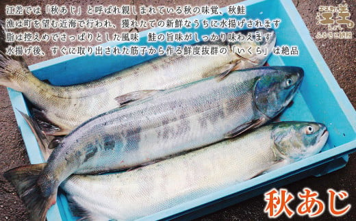 【漁獲次第で受付再開予定】《早期予約 10月下旬より順次出荷予定》船上活〆・神経〆北海道江差産 天然秋鮭の極上いくら醤油漬け 1kg　100gパック　 国産　手作り　いくら　秋あじ　鮭　さけ　サーモン　新物|