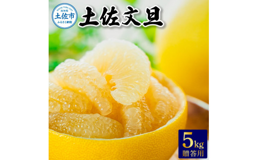 ymyszyU p5kg s\ 2025N12{菇 Ԃ񂽂 u^ k t[c ʕ  Mtg y m ̈ʍ