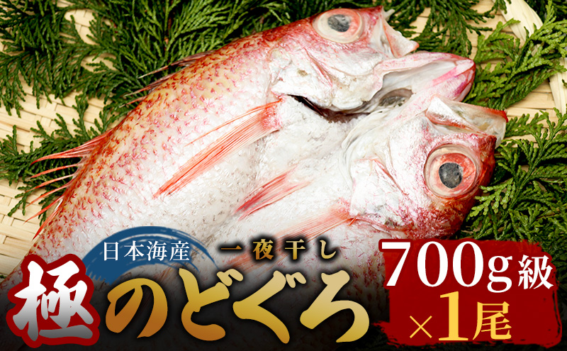 【極】日本海産のどぐろ開き　700ｇ級×1尾  富山 魚津 浜浦水産
