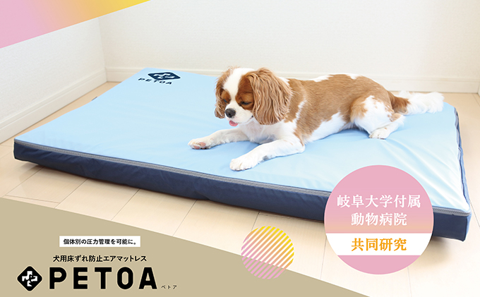 【ペット用品 犬】犬用床ずれ防止エアマット PETOA-ペトア- (中型犬用) ブルー 寝たきりのワンちゃん向け