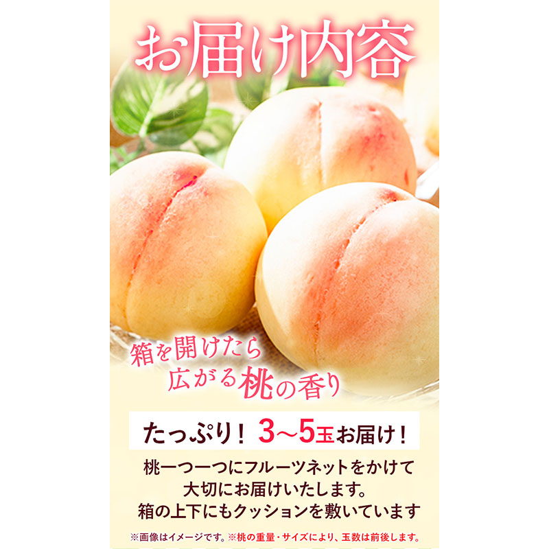 岡山県浅口市のふるさと納税 【令和7年度受付分 先行予約】おかやま白桃 もも 1kg 3～5玉前後 岡山県産 ご家庭用《2025年6月下旬-9月上旬頃出荷》岡山県 浅口市 厳選出荷 白桃 黄桃 白鳳 清水白桃 おかやま夢白桃 川中島白桃 白皇 黄金桃 果物 フルーツ