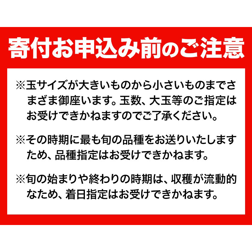 岡山県浅口市のふるさと納税 【令和7年度受付分 先行予約】おかやま白桃 もも 1kg 3～5玉前後 岡山県産 ご家庭用《2025年6月下旬-9月上旬頃出荷》岡山県 浅口市 厳選出荷 白桃 黄桃 白鳳 清水白桃 おかやま夢白桃 川中島白桃 白皇 黄金桃 果物 フルーツ