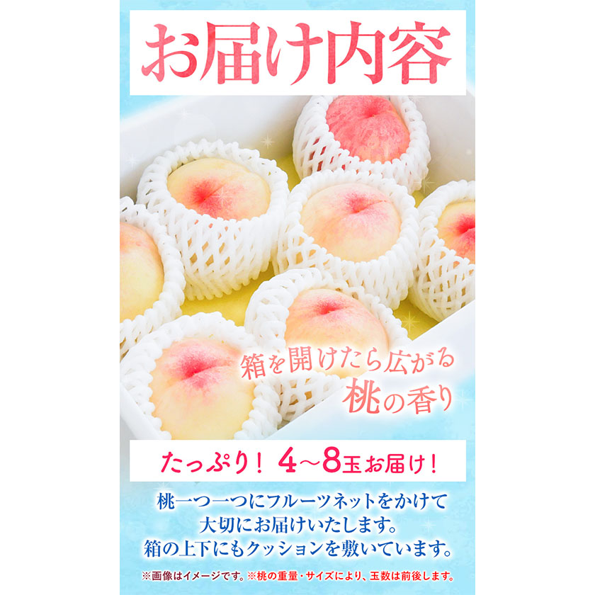 岡山県浅口市のふるさと納税 【令和7年度分受付 先行予約】岡山の桃 もも 1.3kg 4～8 玉前後 岡山県産 ご家庭用《2025年6月下旬-9月上旬頃出荷》岡山県 浅口市 厳選出荷 白桃 黄桃 白鳳 清水白桃 おかやま夢白桃 川中島白桃 白皇 黄金桃 果物 フルーツ