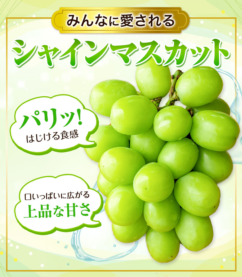 岡山県浅口市のふるさと納税 【2025年先行予約】厳選 訳あり シャインマスカット 約 2kg 3～5房《9月中旬11月上旬に出荷(土日祝除く)》岡山県 浅口市 シャインマスカット ぶどう フルーツ 果物 贈り物 ギフト 国産 岡山県産 送料無料 シャイン マスカット マスカットシャイン ブドウ 葡萄