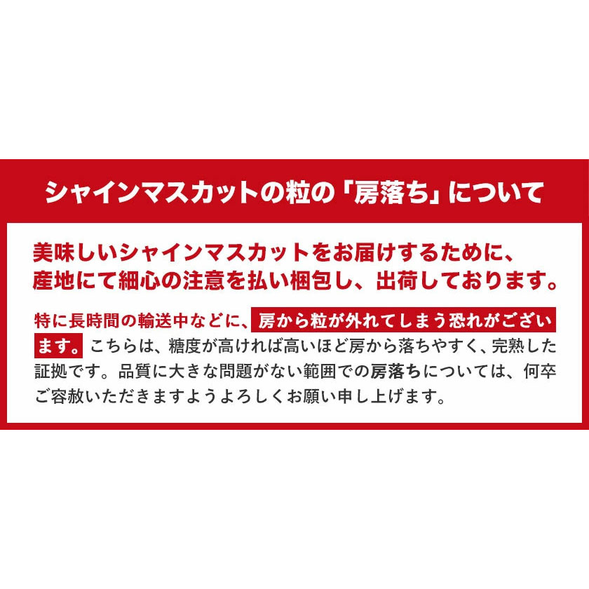 岡山県浅口市のふるさと納税 【2025年先行予約】厳選 訳あり シャインマスカット 約 2kg 3～5房《9月中旬11月上旬に出荷(土日祝除く)》岡山県 浅口市 シャインマスカット ぶどう フルーツ 果物 贈り物 ギフト 国産 岡山県産 送料無料 シャイン マスカット マスカットシャイン ブドウ 葡萄