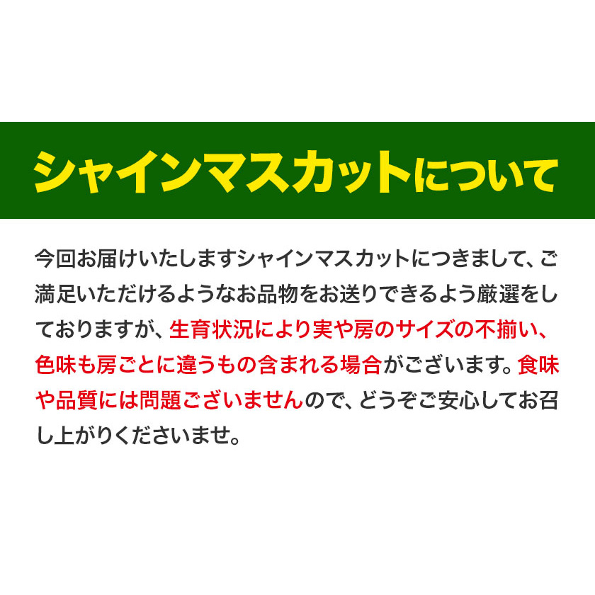 岡山県浅口市のふるさと納税 【2025年先行予約】厳選 訳あり シャインマスカット 約 2kg 3～5房《9月中旬11月上旬に出荷(土日祝除く)》岡山県 浅口市 シャインマスカット ぶどう フルーツ 果物 贈り物 ギフト 国産 岡山県産 送料無料 シャイン マスカット マスカットシャイン ブドウ 葡萄