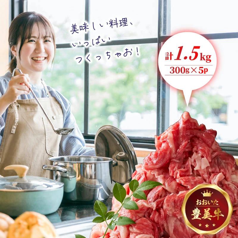 大分県国東市のふるさと納税 おおいた豊美牛切り落とし 1.5kg (300g×5P)_2263R