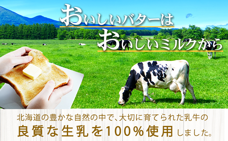 切れてる　セゾンのふるさと納税　バター（10g×10個入）×10個　雪印　北海道　北海道標茶町