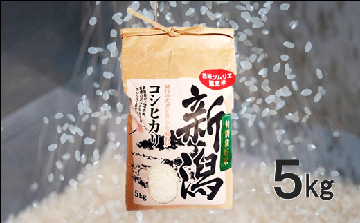 新米 令和5年産新潟コシヒカリ 白米5kg×4個☆農家直送☆色彩選別済09