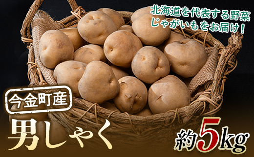 北海道今金町のふるさと納税 北海道今金町産男爵いも 約5kg 【10月下旬以降順次出荷】 北海道産 じゃがいも ジャガイモ だんしゃく 野菜 ほくほく しっとり 常備野菜 F21W-334