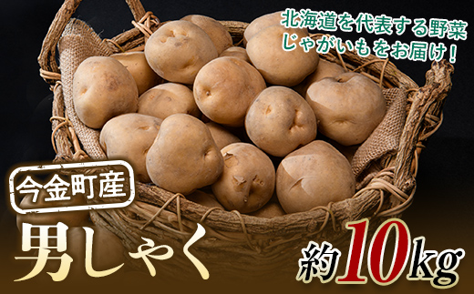 北海道今金町産男爵いも 約10kg 【10