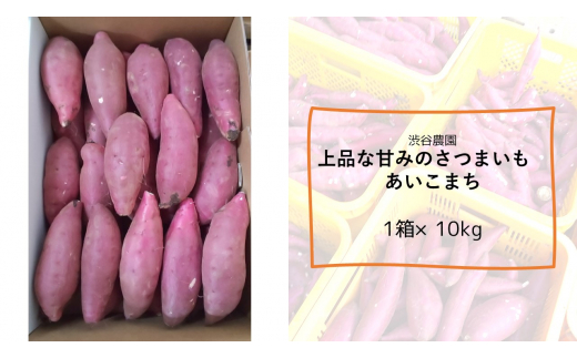 茨城県行方市のふるさと納税 BZ-6　【2024年11月より順次発送】2024年度産 上品な甘みのさつまいも　『あいこまち』約10kg