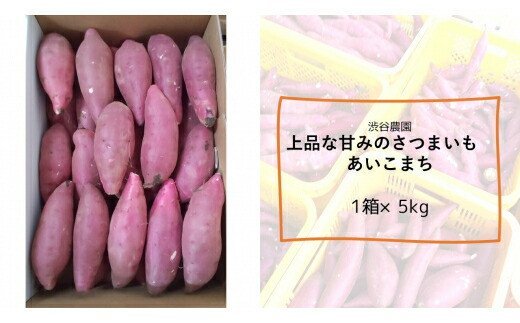 茨城県行方市のふるさと納税 BZ-7　【2024年11月より順次発送】2024年度産 上品な甘みのさつまいも　『あいこまち』約5kg