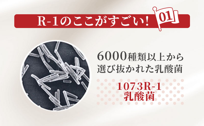 京都府京田辺市のふるさと納税 R1 定期便 12ヶ月 R-1 プロビオヨーグルト 低糖 低カロリー ドリンク タイプ 明治 飲むヨーグルト 乳酸菌 ドリンクヨーグルト ヨーグルトドリンク ヨーグルト 飲み物 飲料 ジュース 健康食品 健康 R1ドリンク 乳酸菌飲料 冷蔵 定期 12回