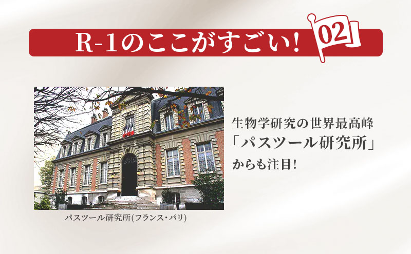 京都府京田辺市のふるさと納税 R1 定期便 12ヶ月 R-1 プロビオヨーグルト 低糖 低カロリー ドリンク タイプ 明治 飲むヨーグルト 乳酸菌 ドリンクヨーグルト ヨーグルトドリンク ヨーグルト 飲み物 飲料 ジュース 健康食品 健康 R1ドリンク 乳酸菌飲料 冷蔵 定期 12回