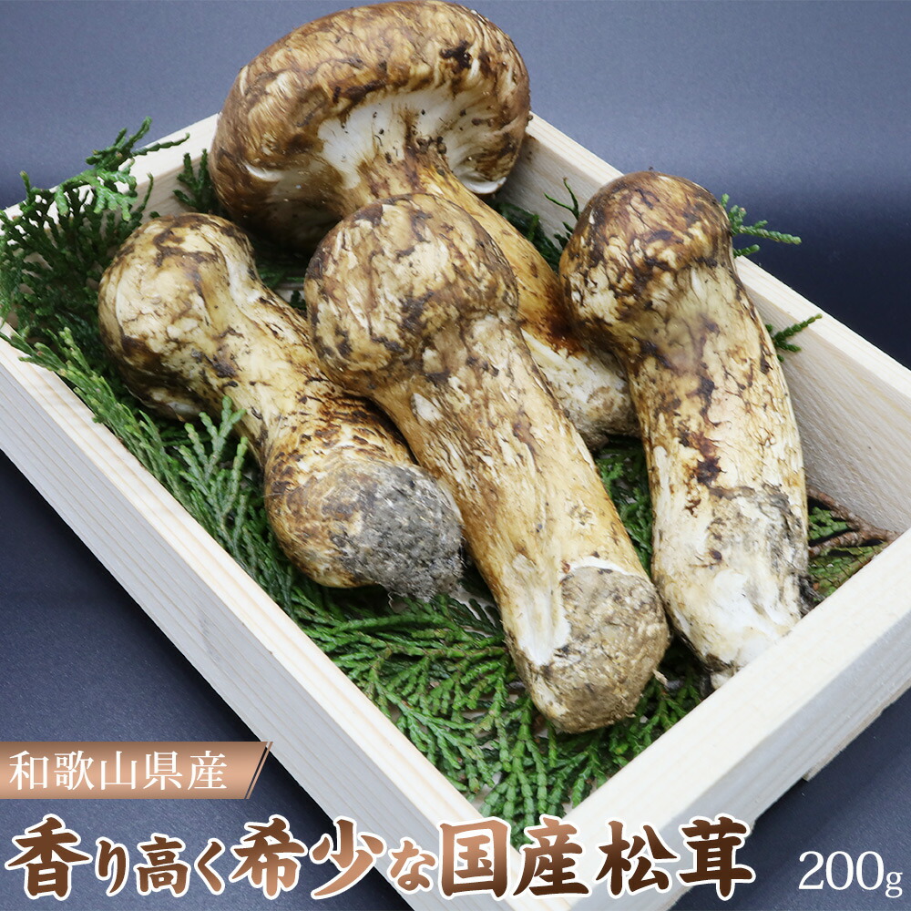 EL6001_【和歌山県産】香り高く希少な国産！ 松茸 約200g