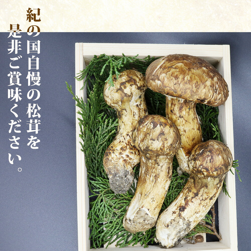 和歌山県産 美味しい 松茸 200グラム - 野菜