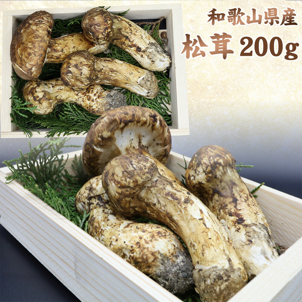 国産松茸 300g 朝採れ H - その他