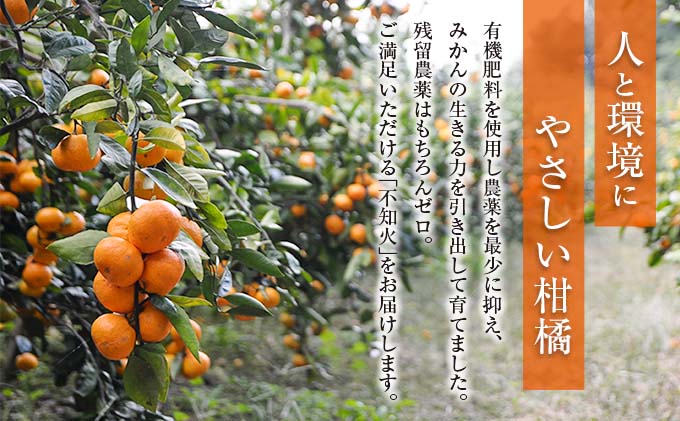 宮崎県日南市のふるさと納税 数量限定 ネイバーフッド 不知火 計4kg以上 傷み補償分付き 期間限定 フルーツ 果物 くだもの しらぬい 国産 食品 デザート おやつ フルーツサンド おすすめ ご褒美 産地直送 みかん 柑橘 ジュース プレゼント ギフト 贈答 贈り物 宮崎県 日南市 送料無料_B240-24